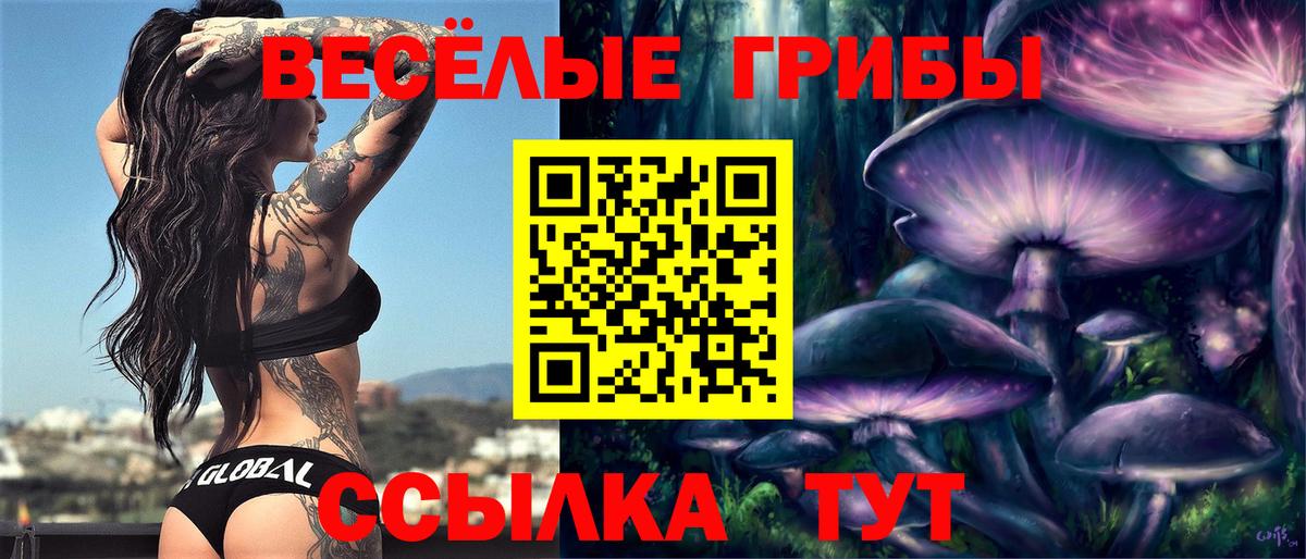 Псилоцибиновые грибы Cubensis  Вход с VPN  Псилоцибиновые грибы мицелий  Корсаков 