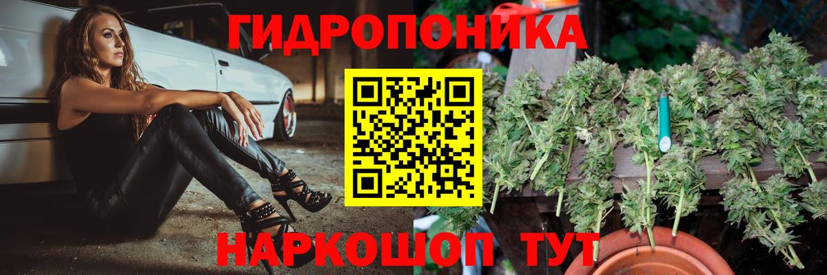 Корсаков  Бошки марихуана план  МАРИХУАНА ГИДРОПОН  Канабис SATIVA & INDICA  Вход с VPN  Бошки Шишки White Widow 