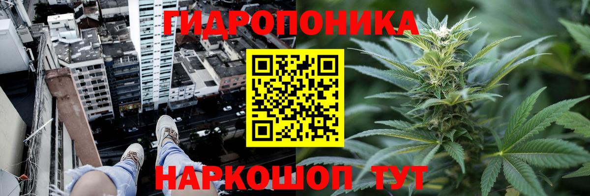 Бошки марихуана OG Kush Корсаков